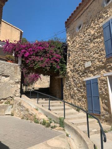 L'Olivier De Nonna Gruissan Exterior foto