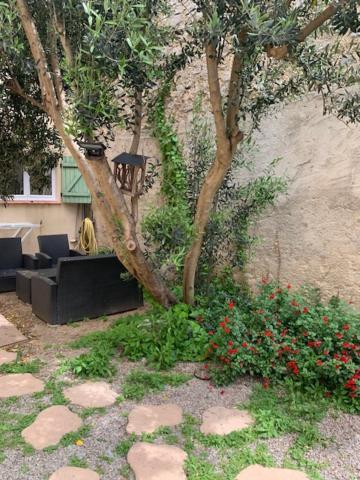 L'Olivier De Nonna Gruissan Exterior foto